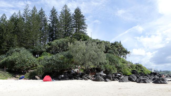 Brush turkeys are causing erosion and rock falls around Greenmount Hill. Picture: Tim Marsden