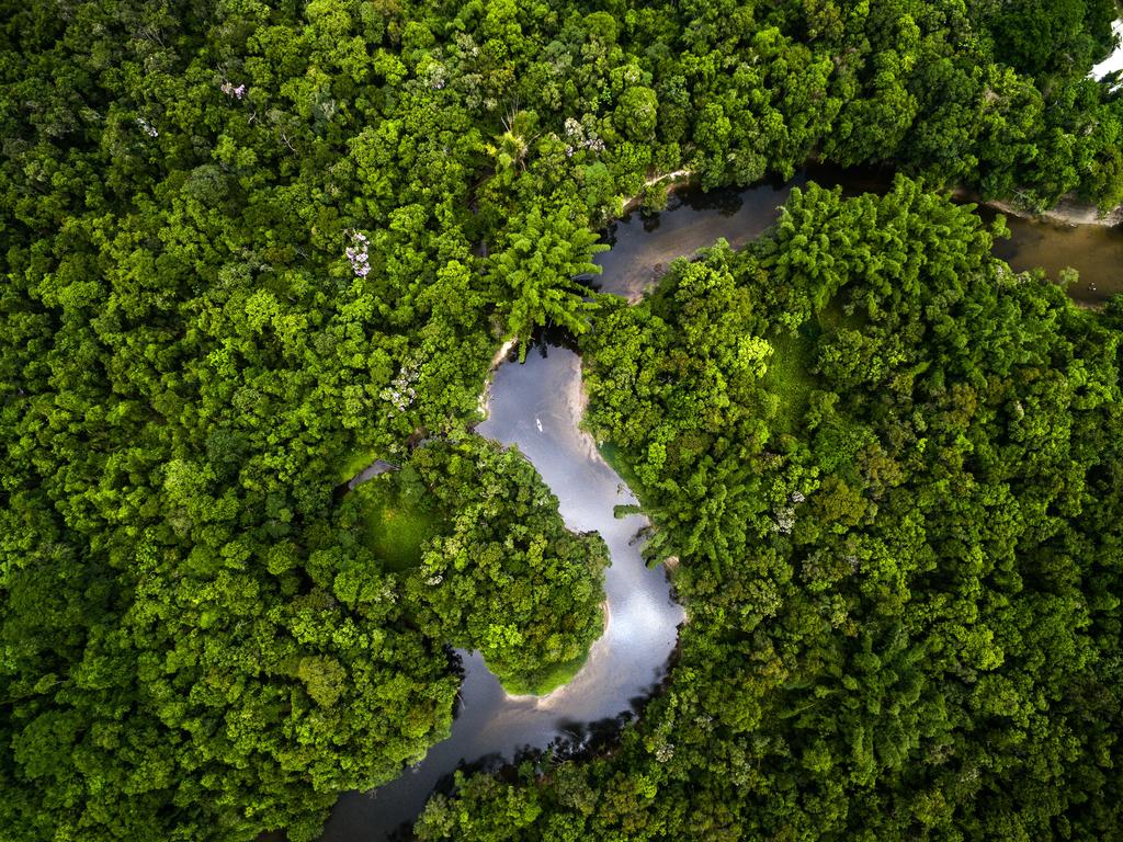 The Amazon is regarded as the ‘lungs of the world’. Picture: iStock