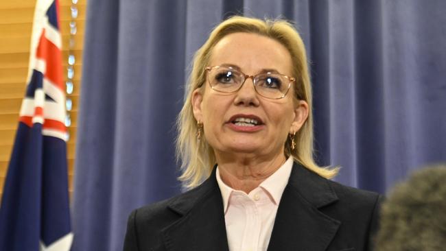 Sussan Ley has been elected the Liberal Party’s first female leader. Picture: NewsWire / Martin Ollman
