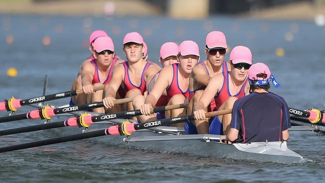 Rowers at the NSW championships at Penrith. Pictures: Brad Redfern Photography