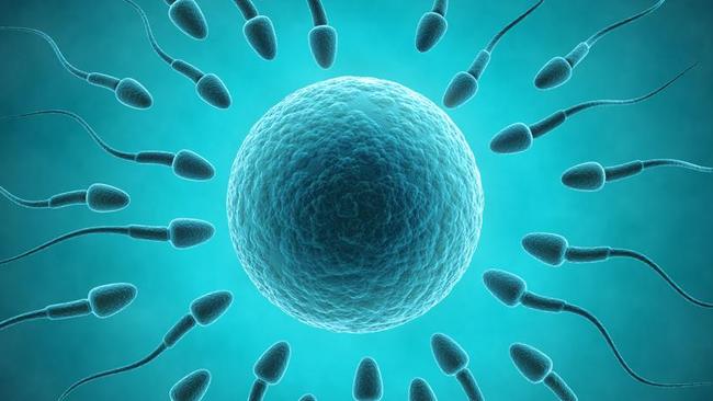 Scientists have announced they have produced baby mice by fusing sperm and a type of cell that is not an egg.