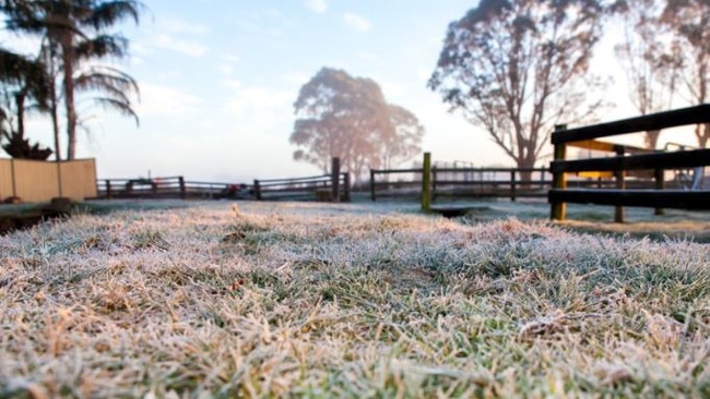 Frost in the Granite Belt last August. Conditions are expected to bring frosty mornings this week. Picture: Weatherzone