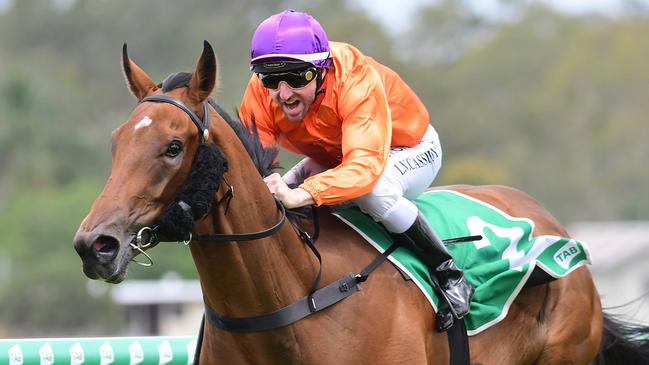 Miss Hipstar wins at Ipswich with Larry Cassidy in the saddle. Picture: Trackside Photography