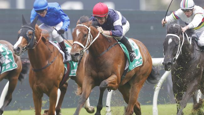 Irish Angel was impressive winning first-up and can make it two in-a-row. Picture: Getty Images