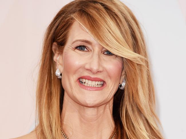 Laura Dern has enjoyed much success since the 1993 film.