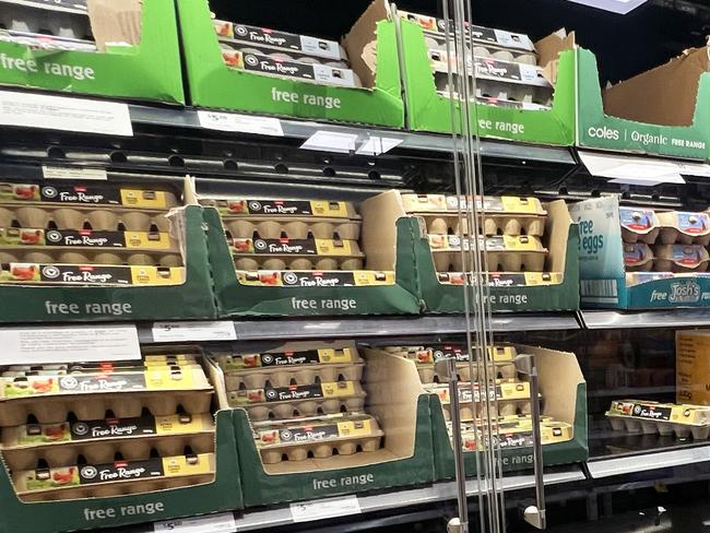 MELBOURNE AUSTRALIA - Newswire Photos JUNE 27TH 2024 : NSW bird flu outbreak has potentially crossed the border into the ACT and spread to a third farm, causing an egg shortage on supermarket shelves. PICTURE : Newswire / Nicki Connolly