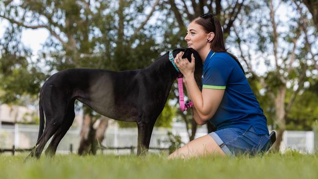 Petstock Darwin's second-in-command Dana Melody and her adopted greyhound Dobbie shared their journey together during National Pet Adoption Month 2025. Picture: Pema Tamang Pakhrin