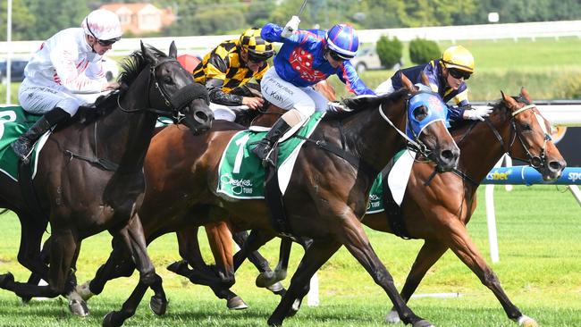 Track specialist Ayrton will chase his seventh win on the Caulfield track in Saturday’s All-Star Mile. Picture: Racing Photos via Getty Images