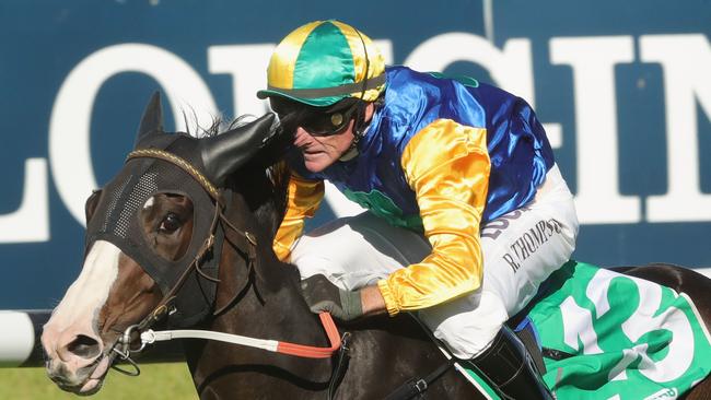 Hunter Valley mare Valree. Picture: Getty