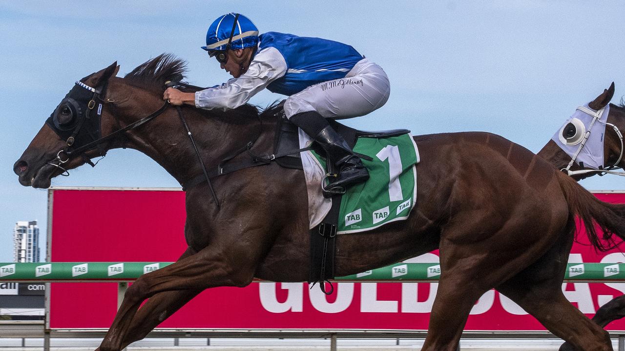 Vanna Girl willc kick-off her spring campaign at Randwick on Saturday. Picture: Greg Irvine