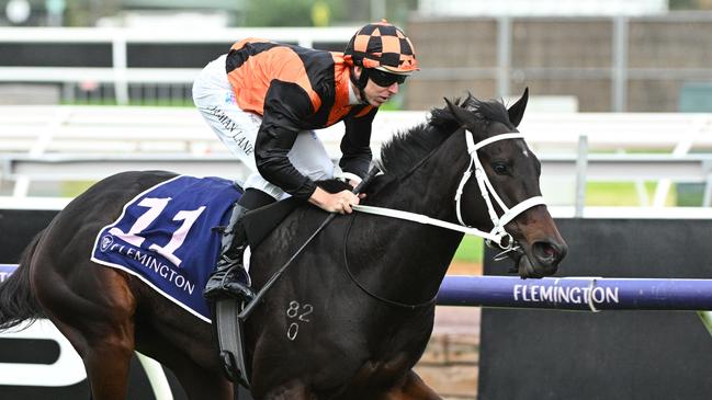 Ahuriri scored a comfortable win in the VRC St Leger at Flemington on Anzac Day. Picture: Vince Caligiuri/Getty Images