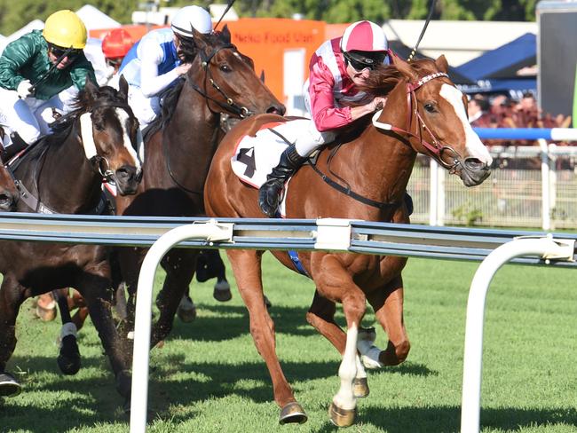 The Darren Weir-trained Real Love breaks clear in the Premier’s Cup. Picture: Grant Peters, Trackside Photography