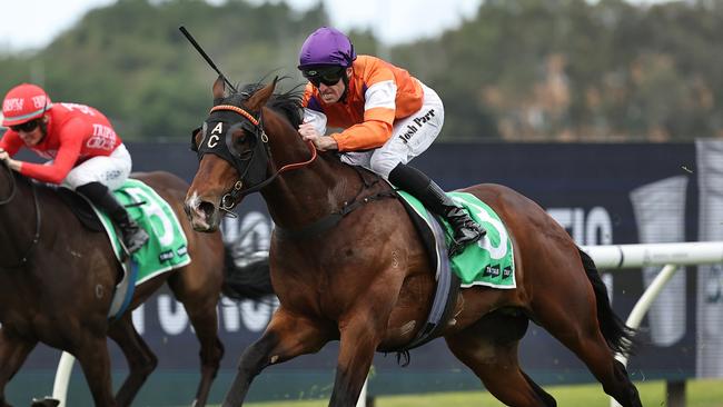 El Castello made it three wins in a row with victory in the Group 3 Gloaming Stakes at Rosehill. Picture: Getty Images