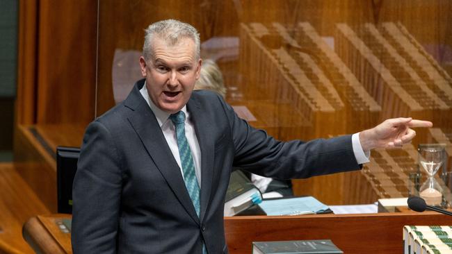 Employment Minister Tony Burke. Picture: NCA NewsWire / Gary Ramage