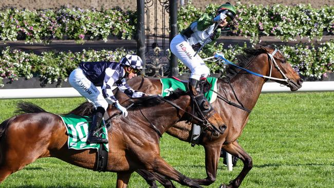 Young Werther also caught the eye when he finished second to Incentivise in the Turnbull Stakes. Picture: Racing Photos via Getty Images