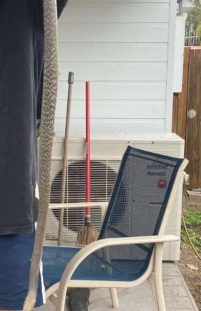 A young boy has survived two bites from an eastern brown snake which Hervey Bay snake catcher Clinton Jones, who posted about it on his Jonesy the Snake Catcher Facebook page, said had become stuck in "one of those sticky traps". Picture: Facebook