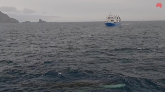 Krill fishing in whale foraging areas, near the South Orkney Islands