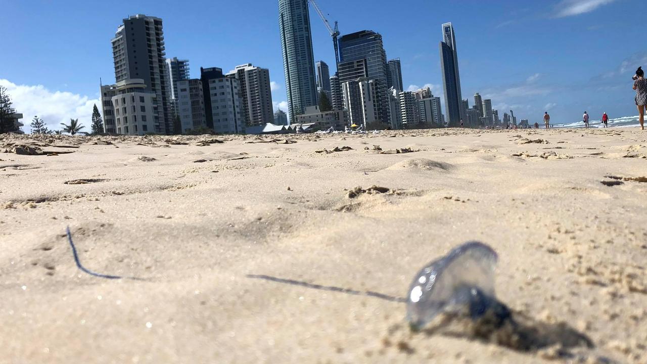Sand and Soul: A Lazy Girl's Guide To Surfers Paradise!