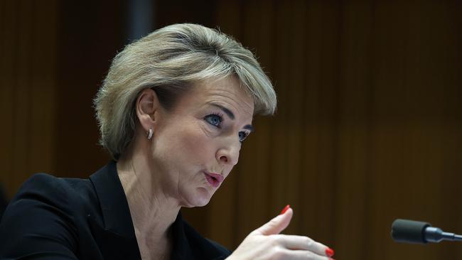 Industrial Relations Minister Michaelia Cash. Picture: Gary Ramage