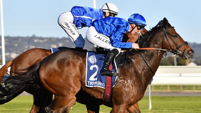 Trekking defeats Gytrash in The Goodwood at Morphettville in May this year. Picture: AAP