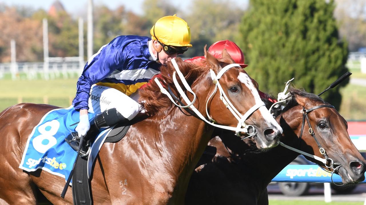 Tycoon takes second crack at Qld riches in Sires’ Produce