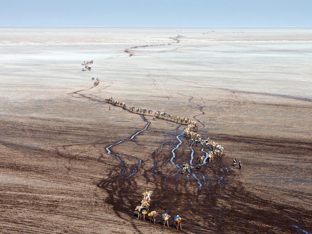 Camel Caravan in the Salt Pans, Danakil Depression, Ethiopia. Picture: Michael Poliza/Caters News