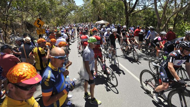 The crowd at the top of Willunga Hill. Picture: Sam Wundke.