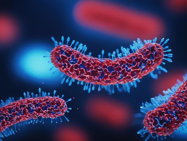 Bacteria medical illustration - 3d rendered microbiology image. Illustrate of Lactobacillus Bulgaricus Bacteria, Microbacterium Tuberculosis Bacteria (MTB). Medical research, health-care concept. SEM (TEM) scanning view