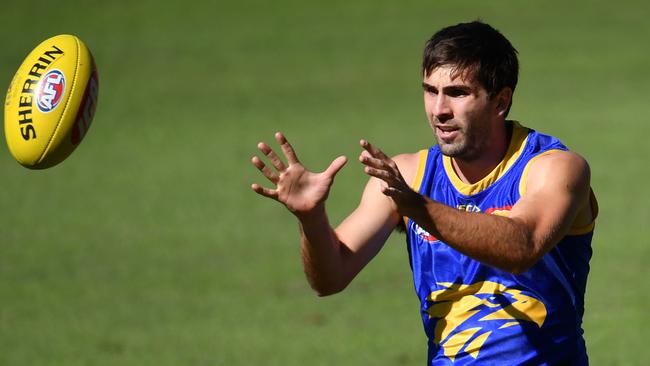 Andrew Gaff has been in career-best form.