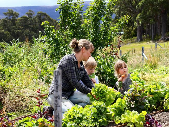 Paulette Whitney works in the garden with her two daughters Heidi, 6, and Elsie, 8. Picture: LUKE BOWDEN