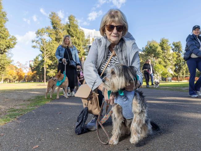 RSPCA SA's Million Paws Walk in Adelaide on May 25, 2025. Picture: Ben Clark