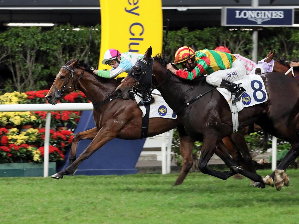 Gallant Hero prevails in the Community Chest Cup. Picture: HKJC