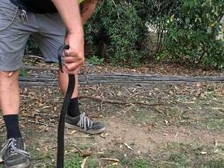 BEWARE: William Pledger of Wildlife Management Services, was called to relocate this red-bellied black snake from Wolvi State School on Wednesday. Picture: Contributed