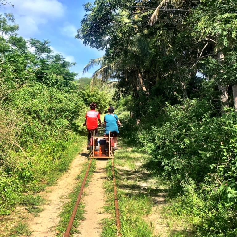 The bikes are mounted onto the old sugarcane railway tracks.