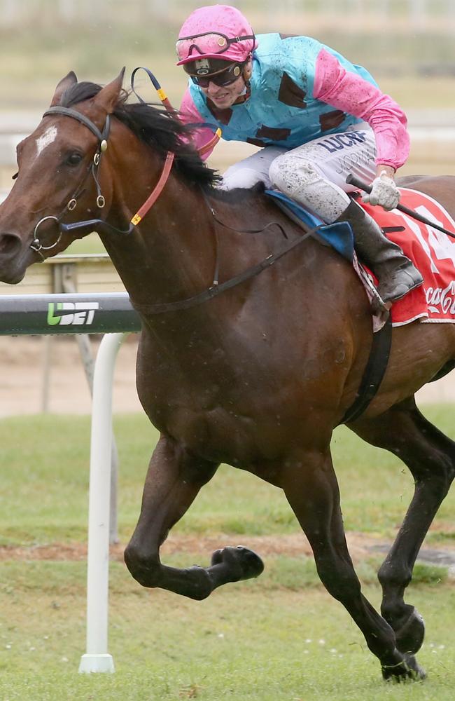 Well placed: Sold For Song and jockey James Orman combine to win at Doomben last December. Picture: Jono Searle