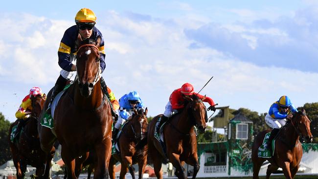 Masked Crusader could be a contender for a slot in The Everest. Picture: AAP