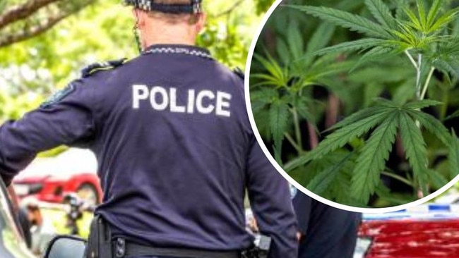 Police uncovered a cannabis growing set-up at a Bundaberg region property last year.