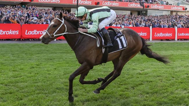 Francesco Guardi was a leading fancy for the Melbourne Cup last year. Picture: George Sal / Racing Photos