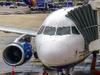 Politician’s niece ‘bit police officer’ on flight