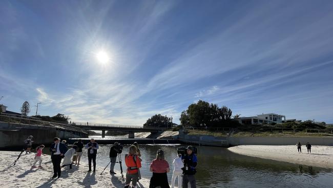 A growing crowd descended on the outlet when the dolphin was first spotted on Friday morning. Picture: Jason Katsaras.