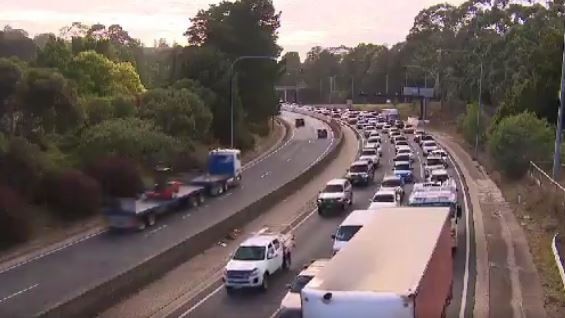 A koala caused a multi-car pileup on the South-Eastern Freeway, leading to lengthy morning traffic delays. Picture: Nine News