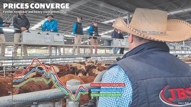 Feeder, restocker and heavy steer prices since 2021. Source: NLRS