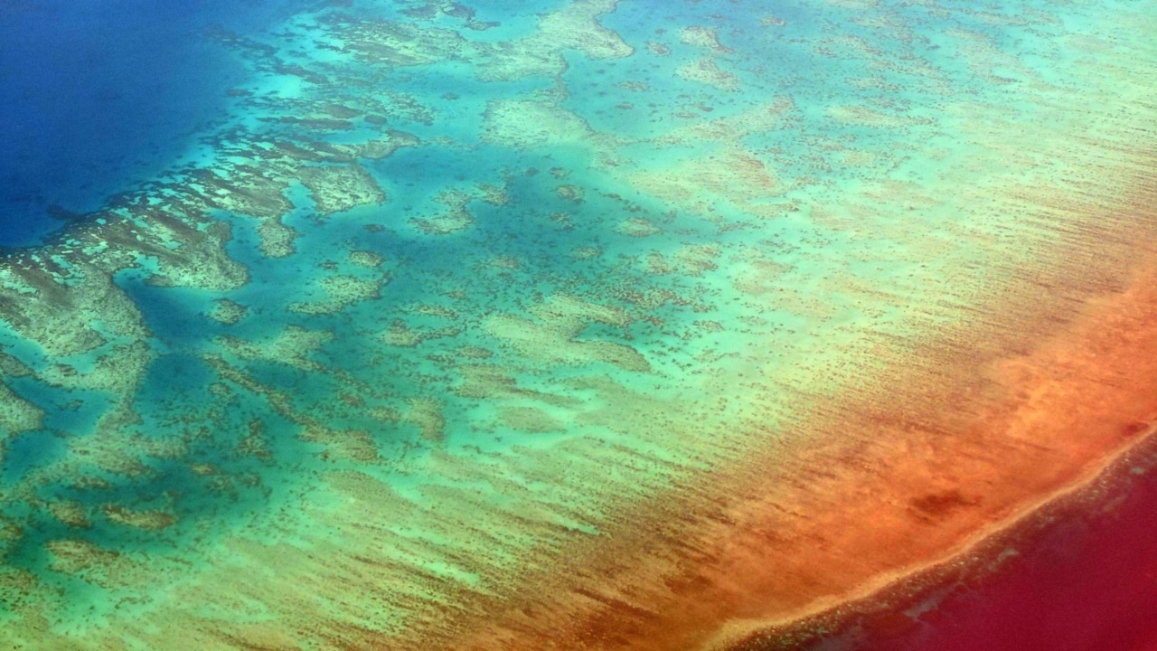 Government ‘delighted’ at UNESCO Great Barrier Reef decision