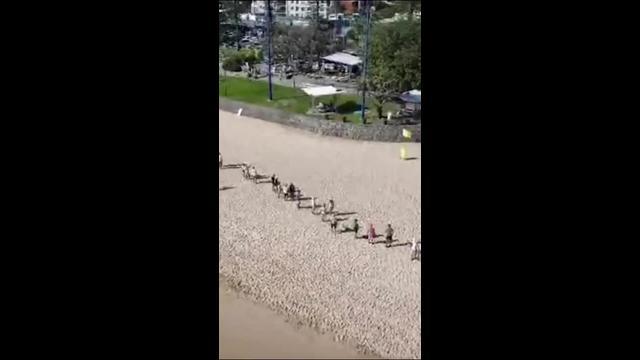 ‘Total frustration’ Protesters take to popular beach 