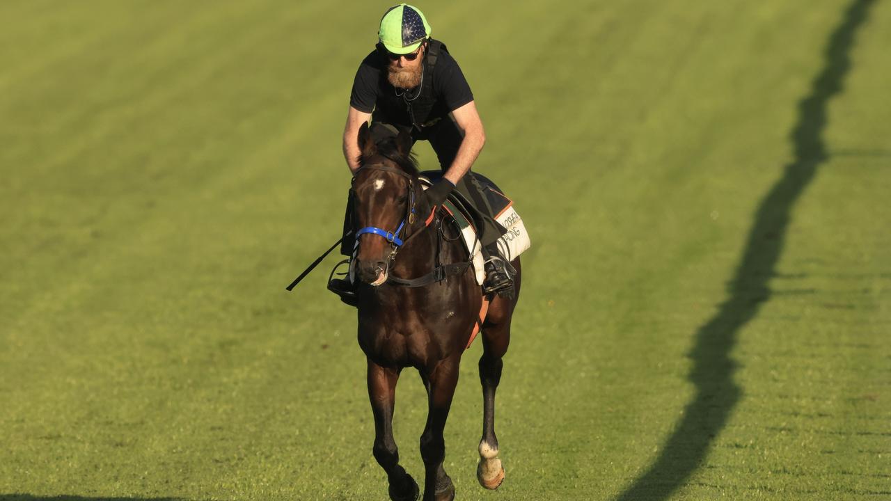 Canterbury Trackwork Session