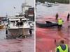 Tourists traumatised by massacre at sea