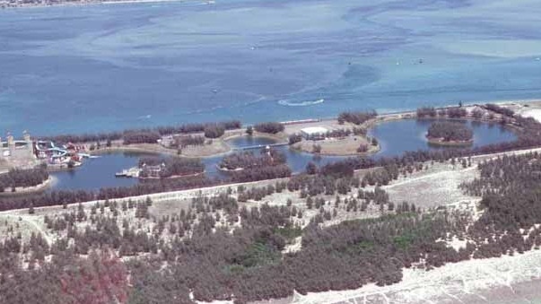 Sea World, pictured in 1982. Picture: Supplied