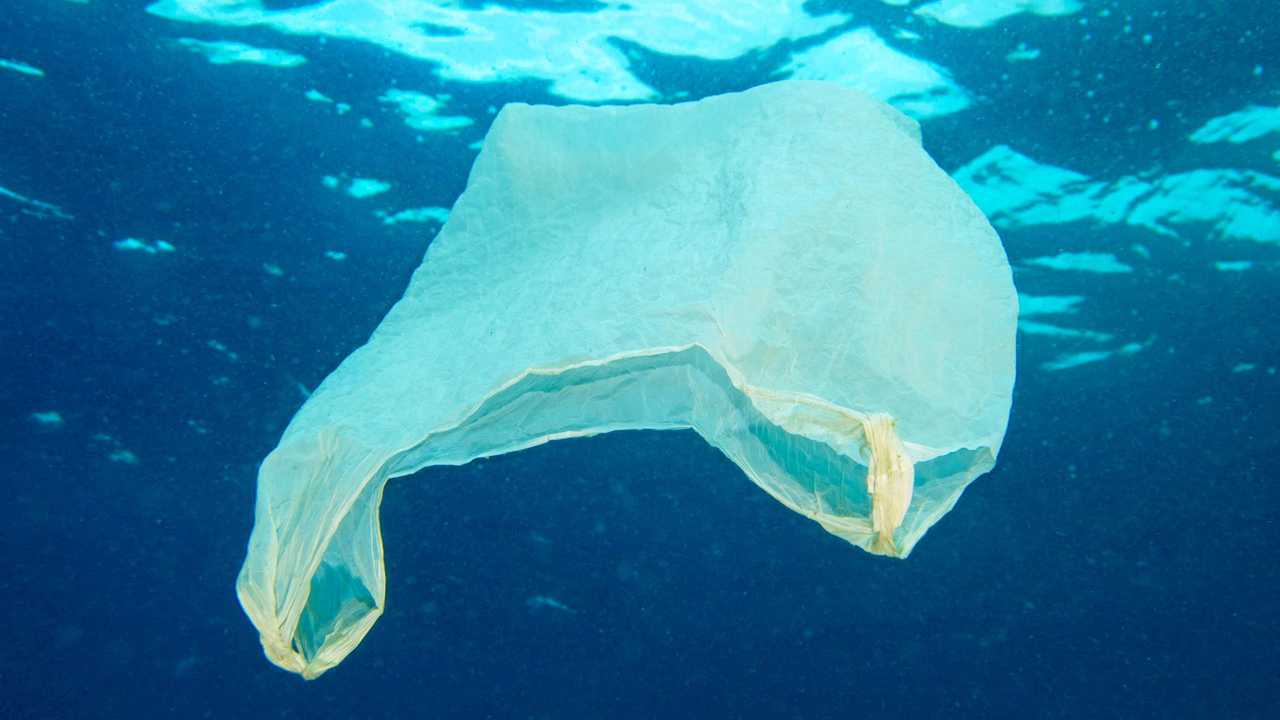 Plastic bag floating in the ocean. Picture: MikaelEriksson