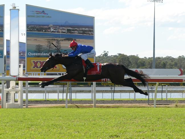 Racehorse jumps for joy at winning post