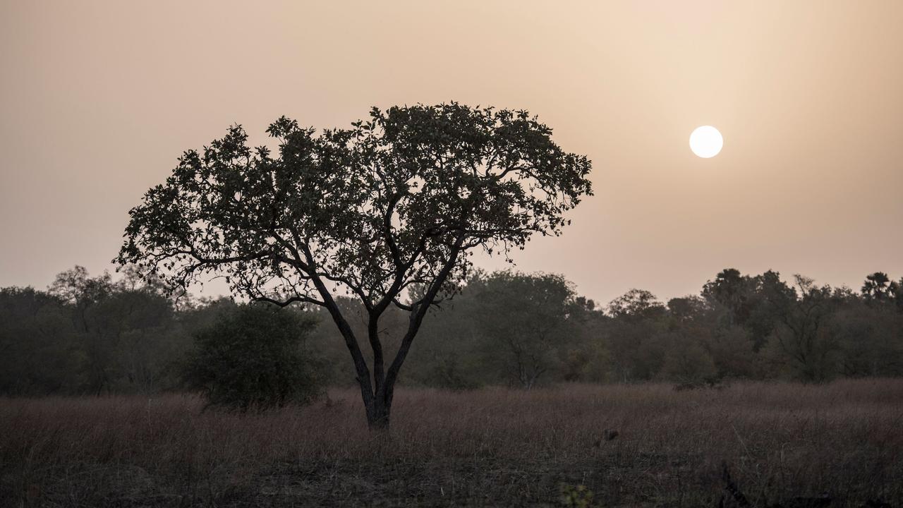 The sun rises over the Pendjari National Park where the two Frenchmen and their guide disappeared. Picture: Stefan Heunis/AFP